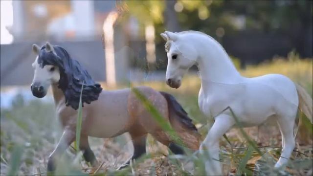 / Schleich / Знания - конника / Андалузская лошадь / смотреть онлайн