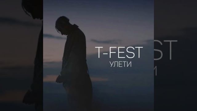 T-fest улети