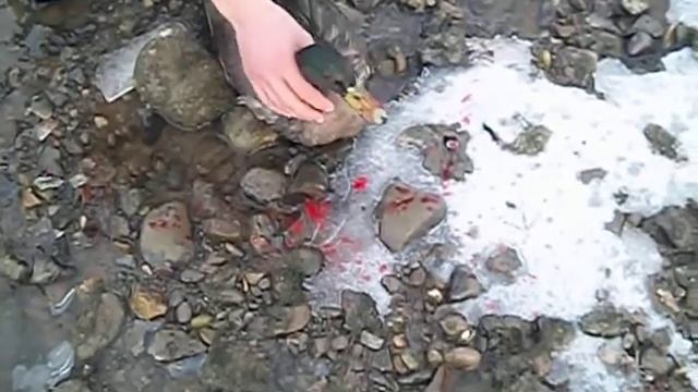 охота смотреть онлайн