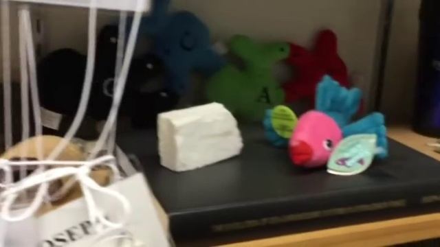S'17 BIOL 102 Introduction