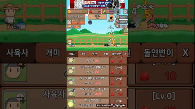 개미키우기 (영차영차) смотреть онлайн