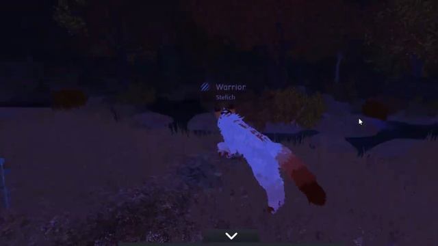 CatWar и что-то ещё (коллаб с Викуст CatWar)