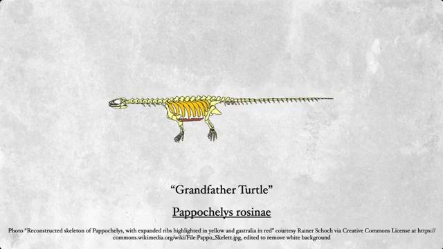 I like (prehistoric) turtles! смотреть онлайн