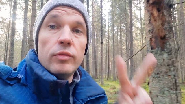 Третий не лишний? Новость о лишайниках.