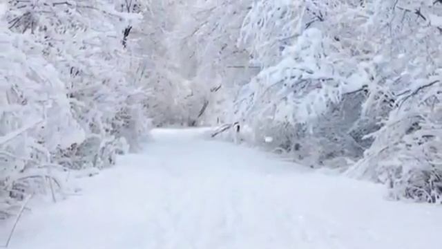 Песенка про Мамонтов смотреть онлайн