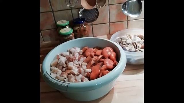 Прогулка обернулась грибалкой 11 11 2020 смотреть онлайн