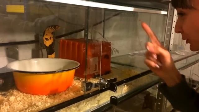 Девушки ругаются смотреть онлайн