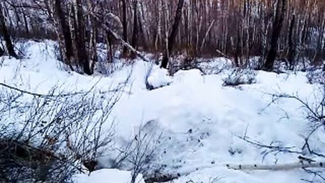 Охота на Медведей 🐻 Нашли берлогу смотреть онлайн