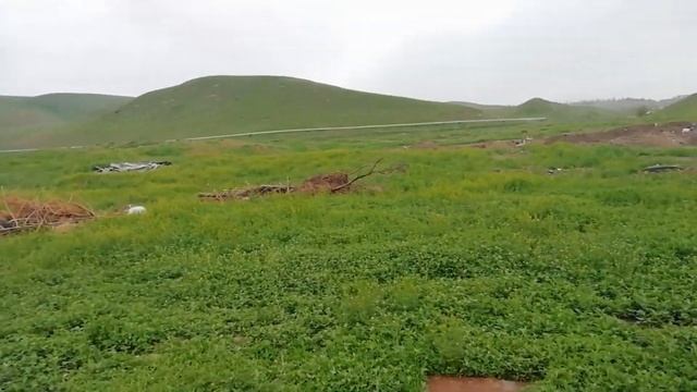 Влог:Поход по грибы смотреть онлайн