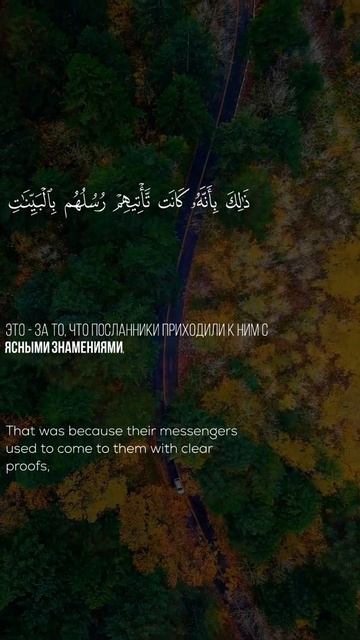 Красивое чтение Корана. Видео можете скачать в Телеграм. Ссылка на канал в описании видео смотреть онлайн