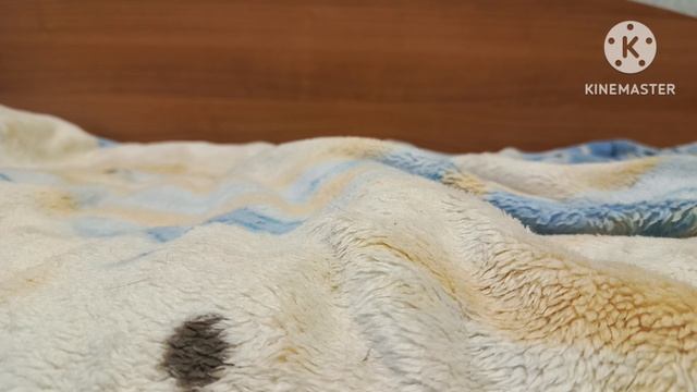 16 серия(ВСТРЕЧА!!!) смотреть онлайн