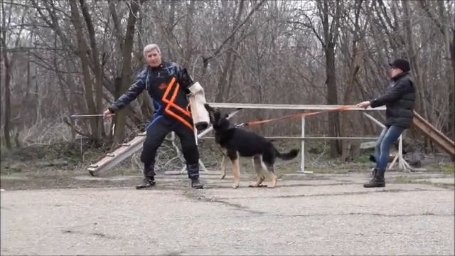 Игорь Дятлов Доброгост 31032018 1 смотреть онлайн