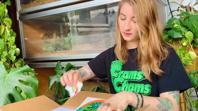 Unboxing Panther Chameleon From Frams Chams!!! смотреть онлайн
