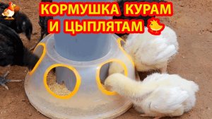 Кормушка курам и цыплятам из пластиковой миски и трубы ПВХ ❣️🤗😂