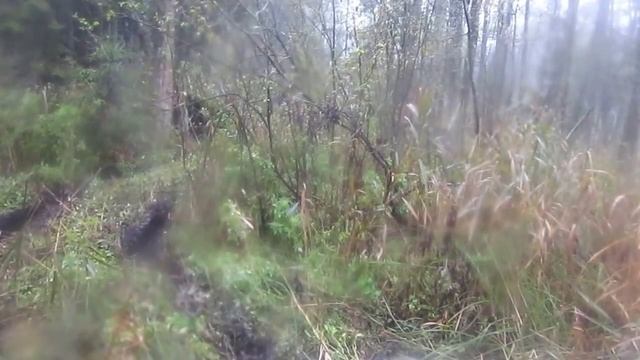 Добромысль смотреть онлайн