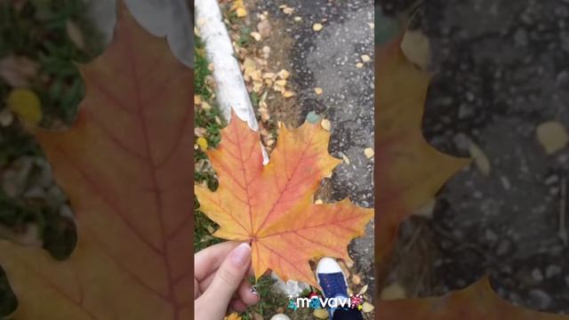 Итоги 2018года смотреть онлайн