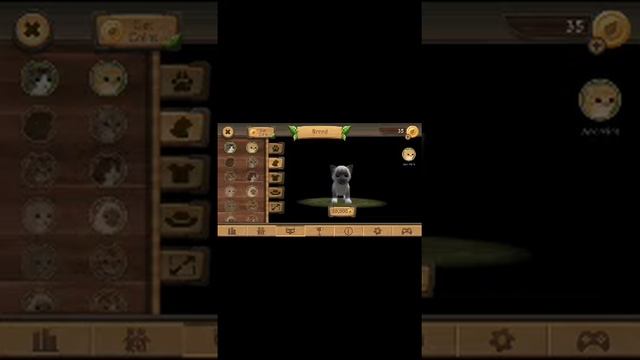 Cat sim online смотреть онлайн