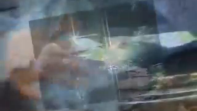 SVT Mustang Cobra Convertible Mystichrome Music Video смотреть онлайн