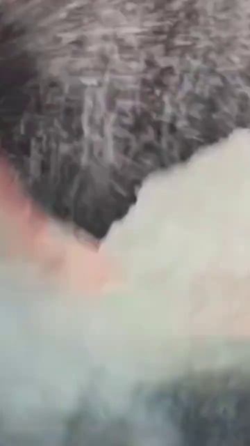 The MEG 2018 | movie clips #themeg #megaloden #shark #bluewhales смотреть онлайн