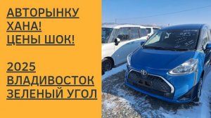 АВТОРЫНКУ ХАНА! ЦЕНЫ ШОК! ВЛАДИВОСТОК! 2025! АВТОРЫНОК ЗЕЛЕНЫЙ УГОЛ!