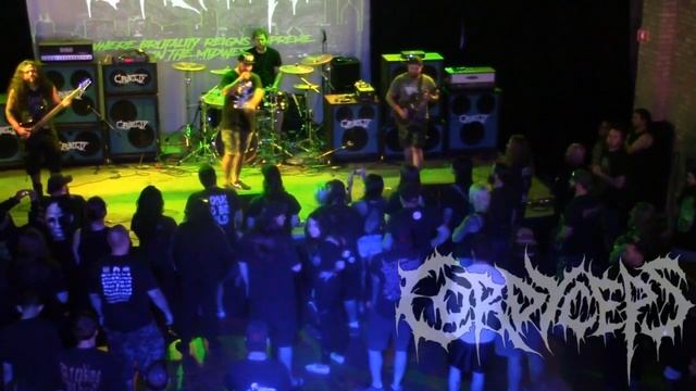 Chicago Domination Fest 4 - Cordyceps (Full Set) смотреть онлайн