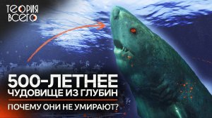 Топ-5 самых долгоживущих существ / Почти бессмертные / Чудеса природы | Теория Всего