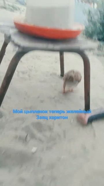 19 июня 2022 г. смотреть онлайн