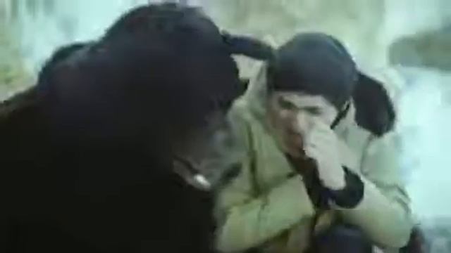 Пародия тает лед смотреть онлайн