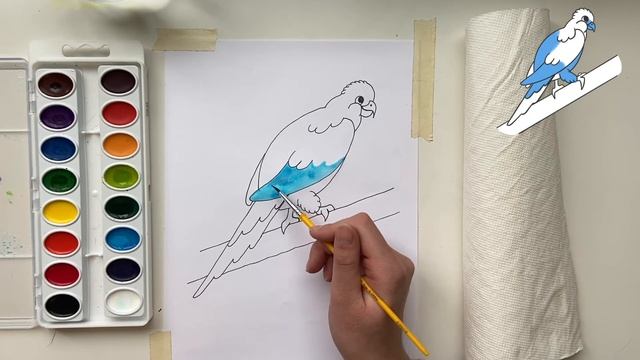 Spix's Macaw Drawing Tutorial смотреть онлайн