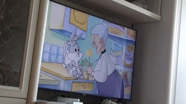 Что с Cartoonito? (17.05.2023) смотреть онлайн