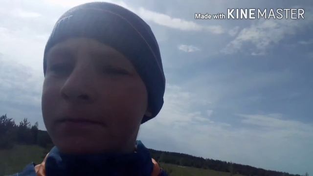 Влог, поход в лес за шишками,за грибами.)