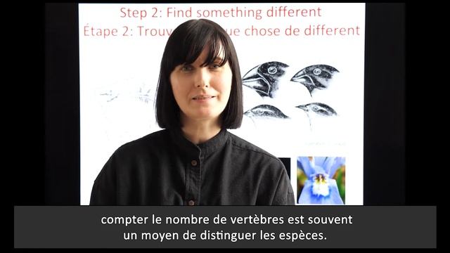 Comment décrire une nouvelle espèce en trois étapes faciles смотреть онлайн