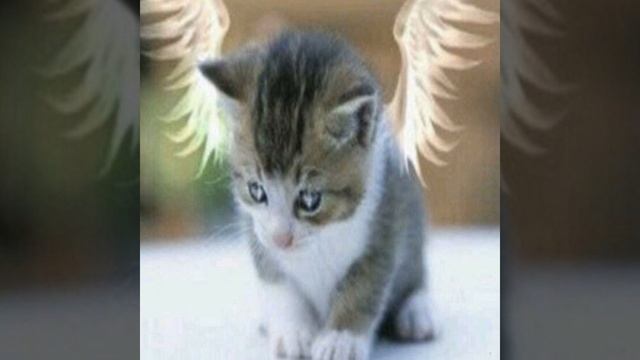 laska je laska (feat. eri) смотреть онлайн