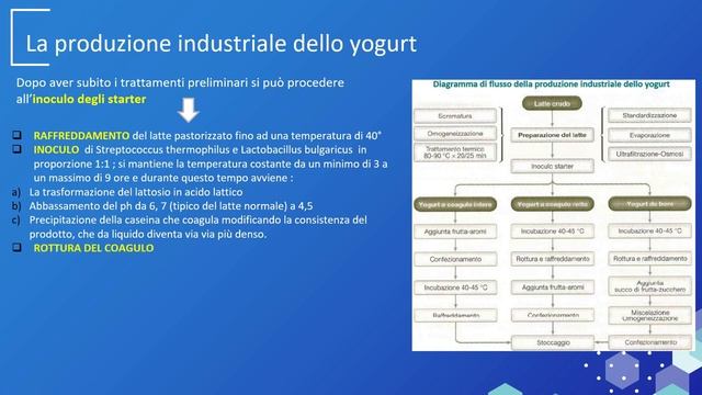LE FERMENTAZIONI смотреть онлайн