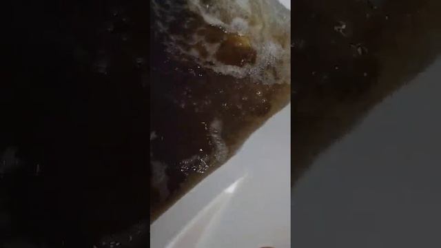 твоя хвоя отзыв на хвойную ванну. приготовить хвойную ванну , успокоительную ванну смотреть онлайн