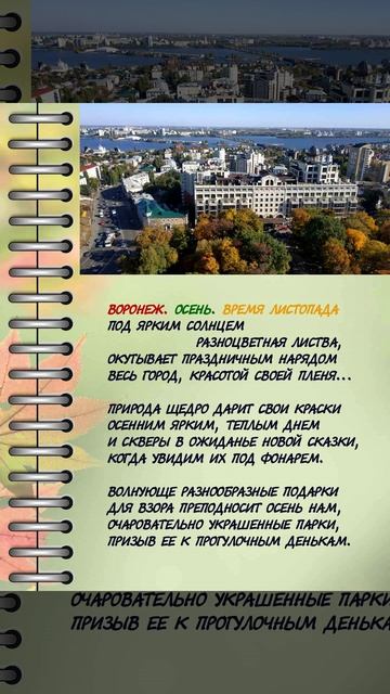 Время листопада