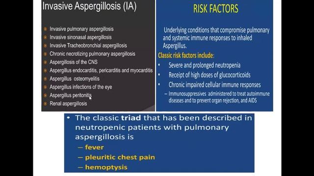 When should antifungals be prescribed by ICU doctor смотреть онлайн