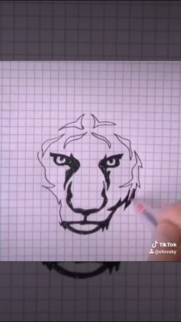 Тигр смотреть онлайн