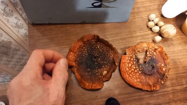 Мухоморы сушёных на костре. #РОМОХУМ #здоровье #здоровье #мухоморы #ZVUKISHU смотреть онлайн