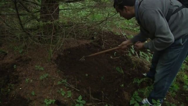 TRUFFLE HUNTING IN SILVERTON HILLS IN OREGON 2012-2