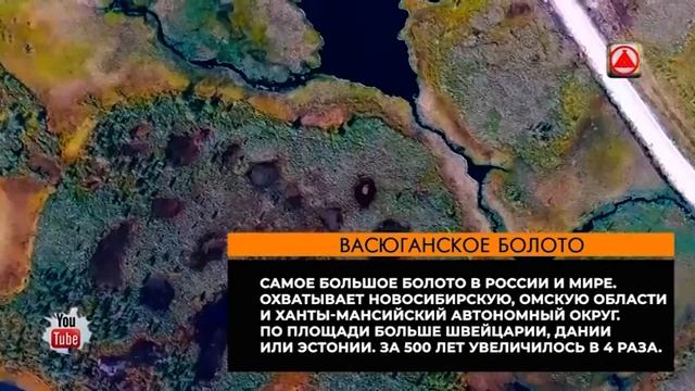 Мы Россия. 12.06.2020