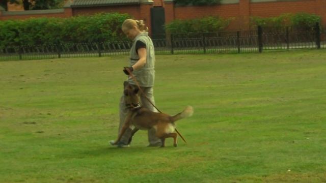 YASSAMAN ROKKY V SOZVEZDII LUN - 1 год смотреть онлайн