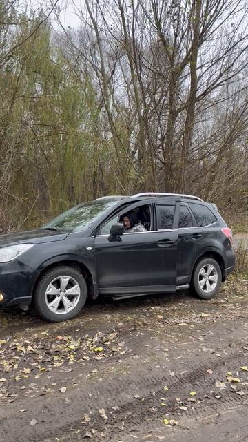#georgebelyi #Subaru #Subaruforester #юмор