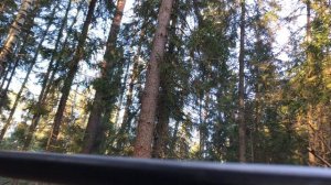 Заяц добыт! Охота с МЦ 20-01 на рябчика пошла не по плану