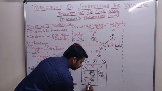 II PU BIOLOGY;Chapter-5; Principles of Inheritance & Variations;Part-6; Lecture by Mr. Sunil Chitta смотреть онлайн