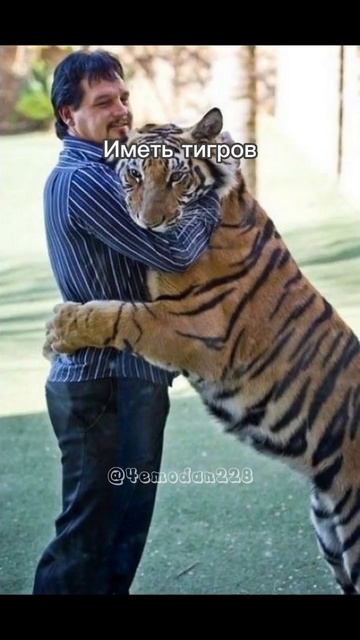 Иметь тигров #ссср #слававетеранам смотреть онлайн