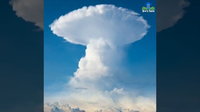 Why The Mushroom Cloud After A Nuclear Blast ? #shorts #brosfacts