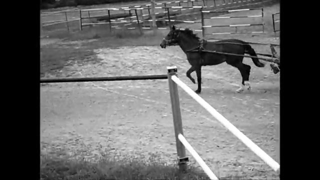 Маша Белицкая смотреть онлайн