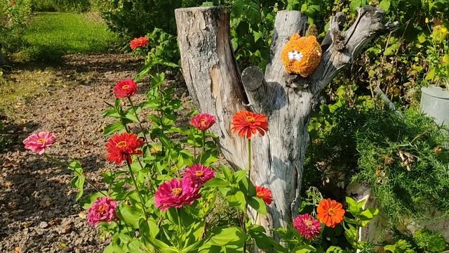 Котик-колобок из плюшевой пряжи смотреть онлайн