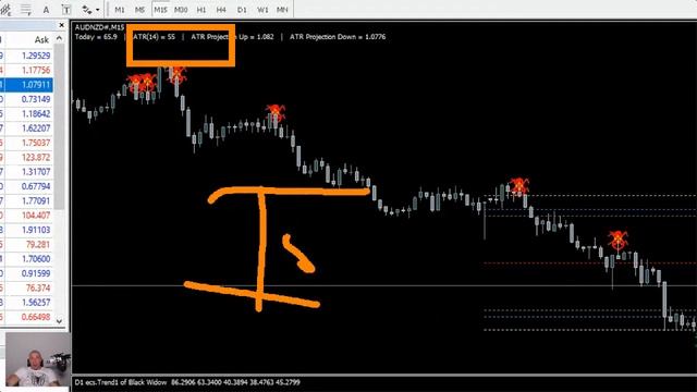 Black Widow Live Webinar Recording with Nenad Kerkez смотреть онлайн